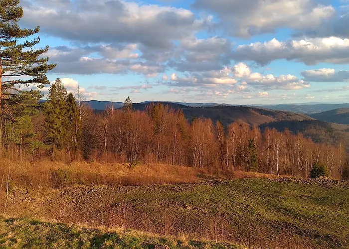 Alias شقة أوسترون