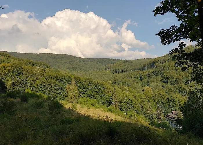 شقة Alias أوسترون