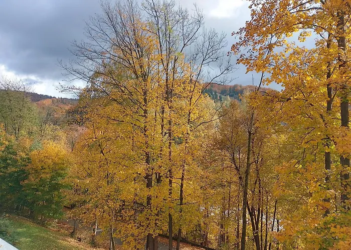 Alias * أوسترون